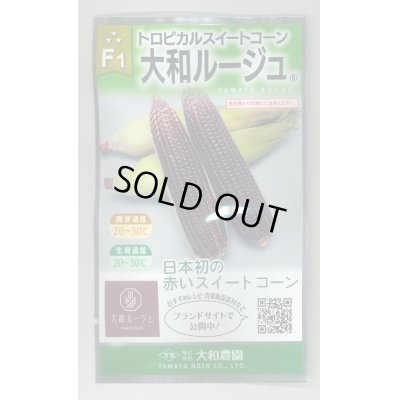 画像1: 送料無料　[とうもろこし]　大和ルージュ　10ml(およそ40粒)　大和農園