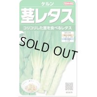 送料無料　[レタス]　ケルン　(およそ350粒)(株)サカタのタネ　実咲350（003029）