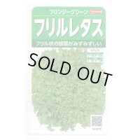 送料無料　[レタス]　フリンジーグリーン(フリルレタス)およそ1200粒　(株)サカタのタネ　実咲350（003036）