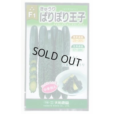 画像1: 送料無料　[キュウリ]　ぱりぽり王子　10粒　大和農園