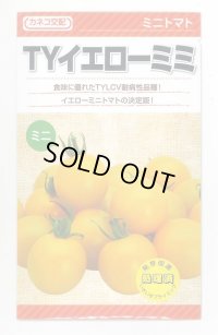 送料無料　[トマト/ミニトマト]　TYイエローミミ　100粒　カネコ交配