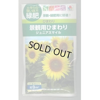 画像1: 送料無料　[緑肥]　緑肥用ひまわり　ジュニアスマイル　60ml　タキイ種苗