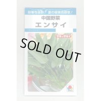 送料無料　中国野菜　エンサイ　13ml　タキイ種苗　MF