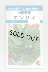 送料無料　中国野菜　エンサイ　13ml　タキイ種苗　MF