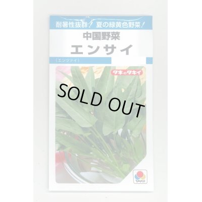 画像1: 送料無料　中国野菜　エンサイ　13ml　タキイ種苗　MF