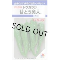 送料無料　[とうがらし]　甘とう美人　35粒　タキイ種苗(株)　DF