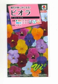送料無料 花の種　ビオラ　F1ビビ ミックス　小袋　　タキイ種苗（株）(NL300)