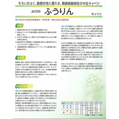 画像3: 送料無料　[キャベツ]　ふうりん　コート5000粒　（株）サカタのタネ