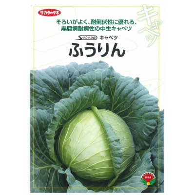 画像2: 送料無料　[キャベツ]　ふうりん　コート5000粒　（株）サカタのタネ