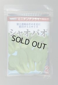 送料無料　[中国野菜]　シャオパオ(ミニチンゲンサイ)　2dl　(株)サカタのタネ