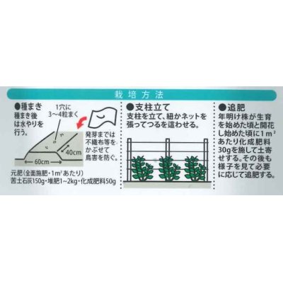 画像2: 送料無料　[えんどう]　兵庫絹莢えんどう　20ml　大和農園