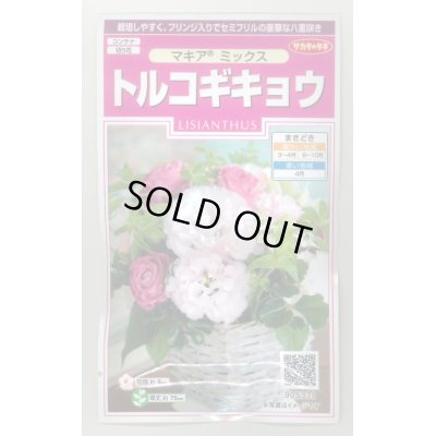 画像1: 送料無料　花の種　トルコギキョウ　マキアミックス　30粒　(株)サカタのタネ　実咲350（028147）