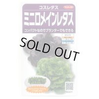 送料無料　[レタス]　コスレタス　ミニロメインレタス　40粒　(株)サカタのタネ　実咲450（003954）