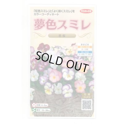 画像1: 送料無料　花の種　パンジー　夢色スミレ　恋桜　約50粒　(株)サカタのタネ　実咲500（028146）