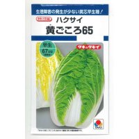 送料無料　[白菜]　黄ごころ65　1ml　タキイ種苗(株)　DF