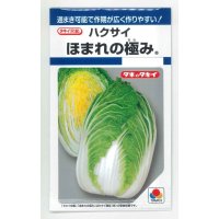 送料無料　[白菜]　ほまれの極み　0.8ml　タキイ種苗(株)　DF