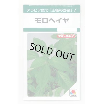 画像1: 送料無料　[葉物]　モロヘイヤ　1.5ml　タキイ種苗(株)　GF