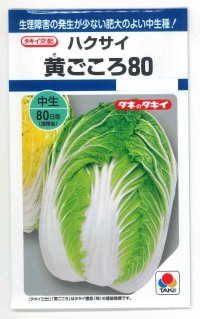 送料無料 [白菜]　黄ごころ80　1ｍｌ　タキイ種苗（株）　DF