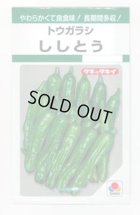 送料無料　[ししとう]　ししとう　135粒　タキイ種苗　GF