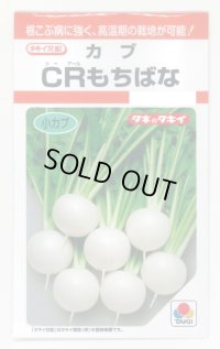 送料無料　[かぶ]　ＣＲもちばな　3.5ml　タキイ種苗(株)　RF