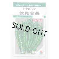 送料無料　[とうがらし]　伏見甘長　180粒　タキイ種苗(株)　GF