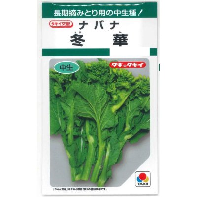 画像1: 送料無料　[葉物]　冬華　5ml　タキイ種苗(株)　GF