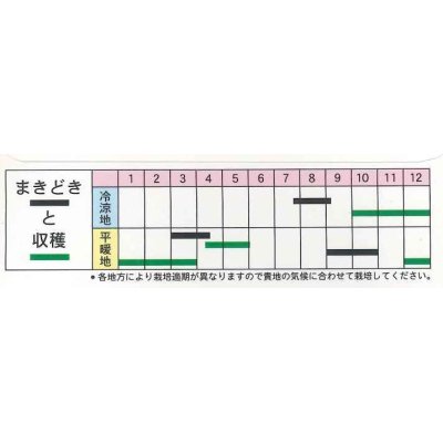 画像3: 送料無料　[葉物]　広島菜　7ml　(およそ1500粒)　丸種(株)