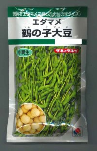 送料無料　[枝豆]　鶴の子大豆　60ml(およそ70粒)　タキイ種苗　GF