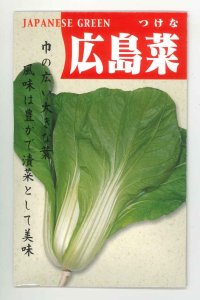送料無料 [葉物]　広島菜　　7ml （およそ1500粒）　丸種（株）