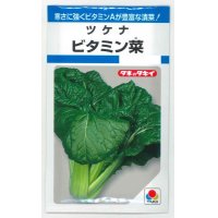 送料無料　[葉物]　ビタミン菜　7ml　タキイ種苗(株)　MF