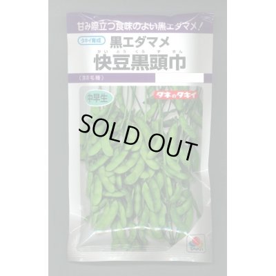 画像1: 送料無料　[枝豆]　快豆黒頭巾　90ml(およそ150粒)　タキイ種苗(株)　PF