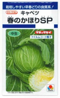 送料無料　[キャベツ]　春のかほりSP　150粒　タキイ種苗(株)　DF