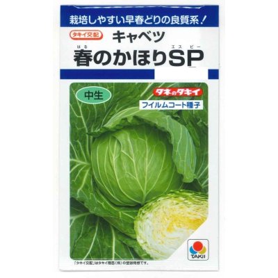 画像1: 送料無料　[キャベツ]　春のかほりSP　150粒　タキイ種苗(株)　DF