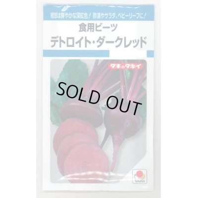 画像1: 送料無料　食用ビーツ　デトロイト・ダークレッド　9ml　タキイ種苗(株)　MF