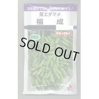 送料無料　[枝豆]　福成　80ml(およそ180粒)　タキイ種苗(株)　PF