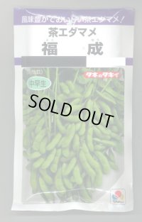 送料無料　[枝豆]　福成　80ml(およそ180粒)　タキイ種苗(株)　PF