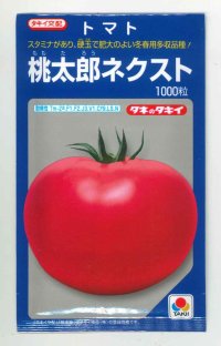 送料無料　[トマト/桃太郎系]　桃太郎ネクスト　1000粒　タキイ種苗(株)