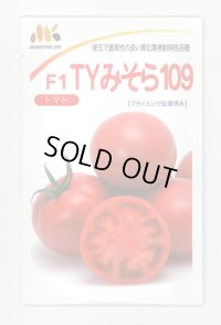 送料無料　[トマト]　大玉トマト　TYみそら109　100粒　ヴィルモランみかど