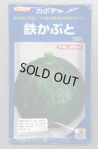 送料無料　[かぼちゃ]　鉄かぶと　100粒　(瓜類台木使用可)　タキイ種苗(株)