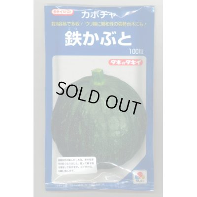 画像1: 送料無料　[かぼちゃ]　鉄かぶと　100粒　(瓜類台木使用可)　タキイ種苗(株)