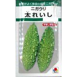 送料無料　[ゴーヤ]　太れいし　12ml　タキイ種苗(株)　GF