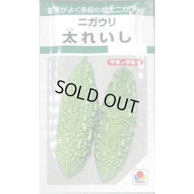 画像1: 送料無料　[ゴーヤ]　太れいし　12ml　タキイ種苗(株)　GF