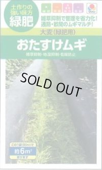 送料無料　[緑肥]　大麦(緑肥用)おたすけムギ　小袋(約5平方メートル分)　タキイ種苗(株)