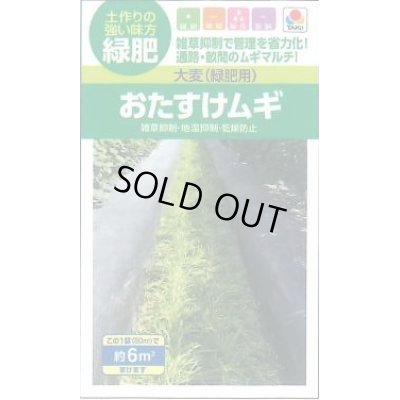 画像1: 送料無料　[緑肥]　大麦(緑肥用)おたすけムギ　小袋(約5平方メートル分)　タキイ種苗(株)