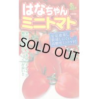 送料無料　[トマト/ミニトマト]　はなちゃん　小袋(16粒)小林種苗