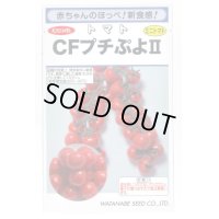 送料無料　[トマト/ミニトマト]　CFプチぷよ2　(100粒)　(株)渡辺採種場