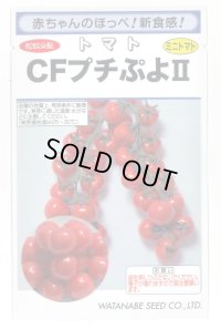 送料無料　[トマト/ミニトマト]　CFプチぷよ2　(100粒)　(株)渡辺採種場