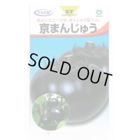 送料無料　[なす]　京まんじゅう　40粒　丸種株式会社