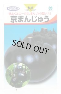 送料無料　[なす]　京まんじゅう　40粒　丸種株式会社