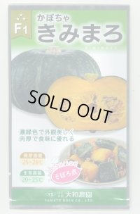 送料無料　[かぼちゃ]　きみまろ　10粒　(株)大和農園